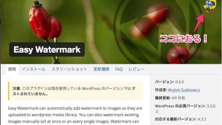 easy watermark アイキャッチ