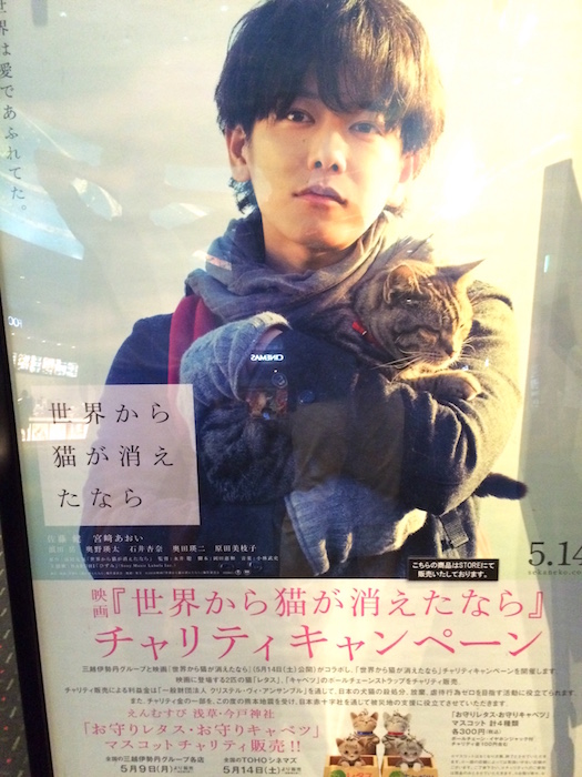 猫が消えたなら