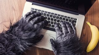 ブログを書く