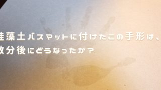 珪藻土バスマットを使ってみた