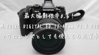 M.ZUIKO DIGITAL ED 12-40mm F2.8 PRO