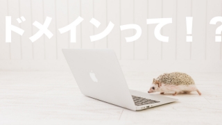ドメインて何?