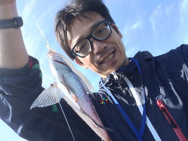 うえせい釣果