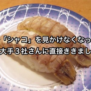 シャコ＿アイキャッチ