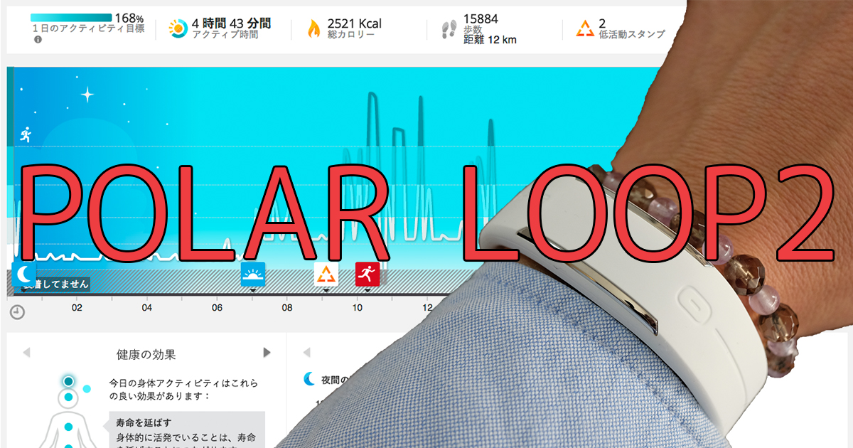 POLAR LOOP2